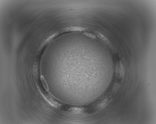 X0000080670352200612221123