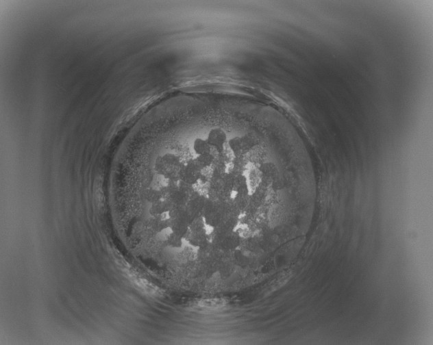 X0000080670353200612221123