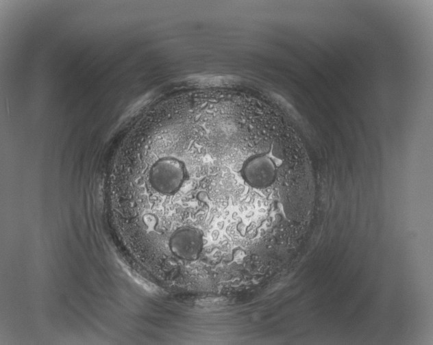 X0000080670357200612221123