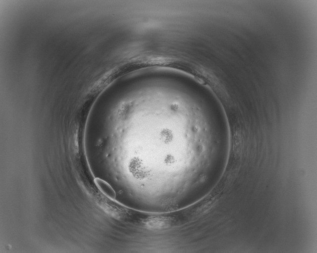 X0000080670358200612221123