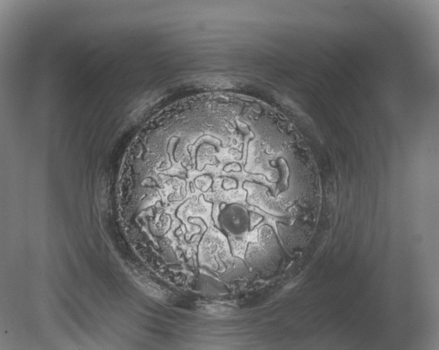 X0000080670359200612221123