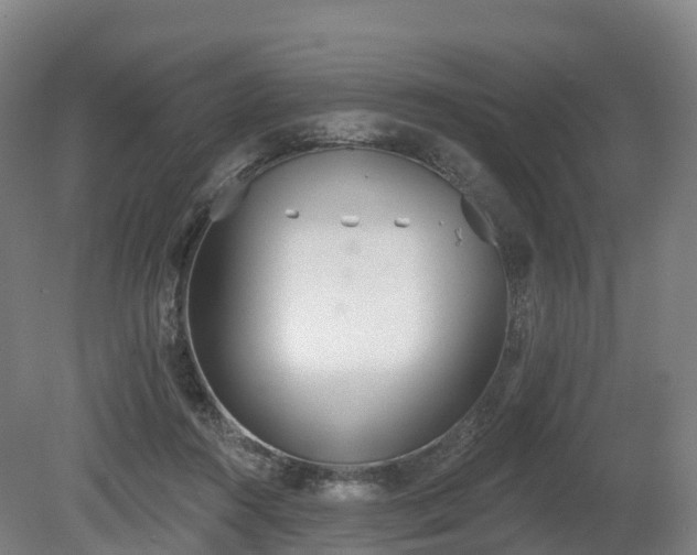 X0000080670360200612221123