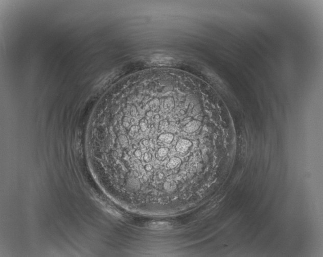 X0000080670361200612221123