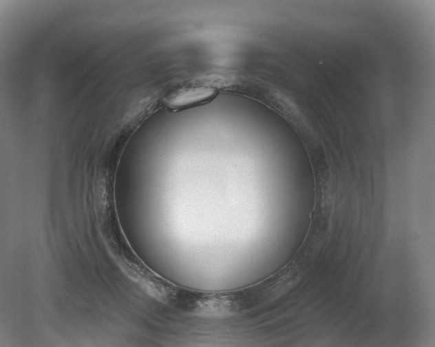 X0000080670362200612221123