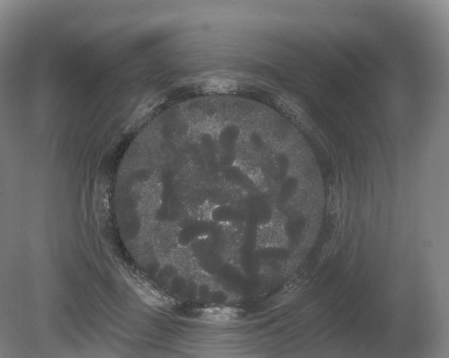 X0000080670363200612221123