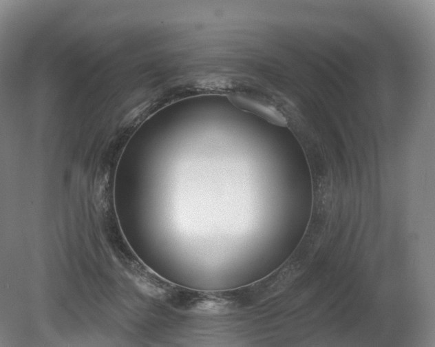 X0000080670364200612221123