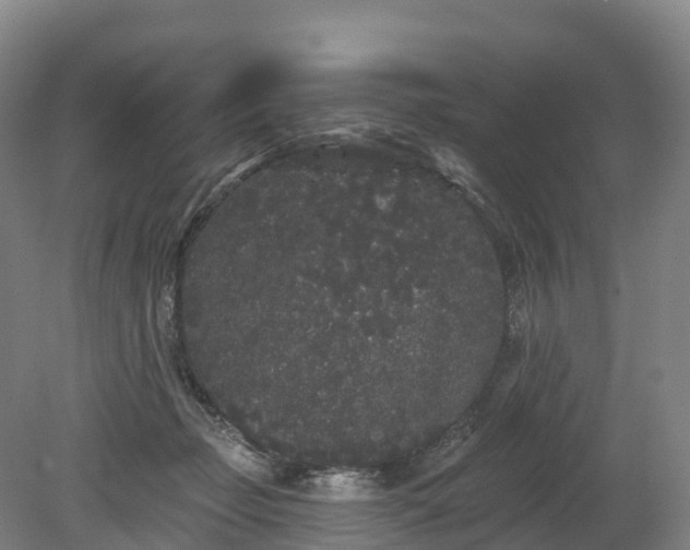 X0000080670365200612221123