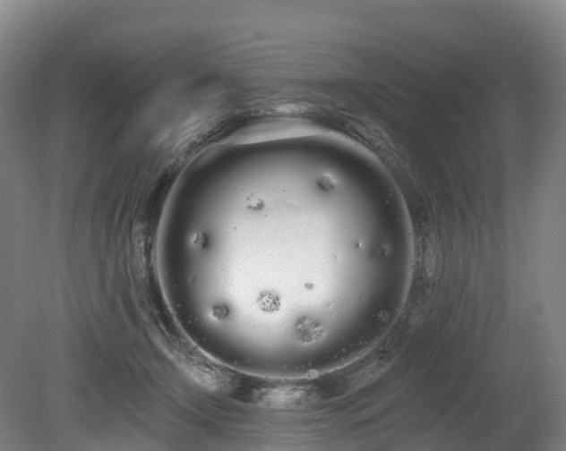 X0000080670366200612221123