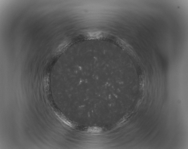 X0000080670369200612221123