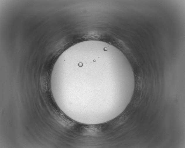 X0000080670370200612221123