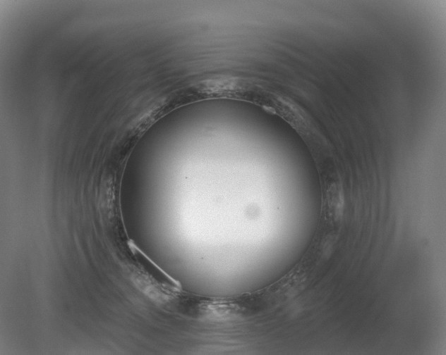 X0000080670372200612221123