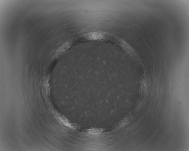 X0000080670373200612221123