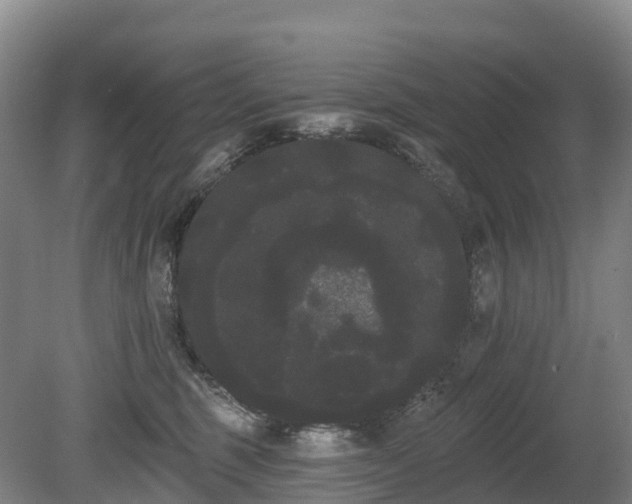 X0000080670375200612221123