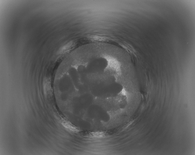 X0000080670377200612221123