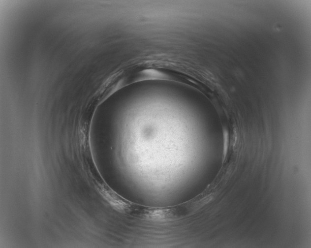 X0000080670382200612221123