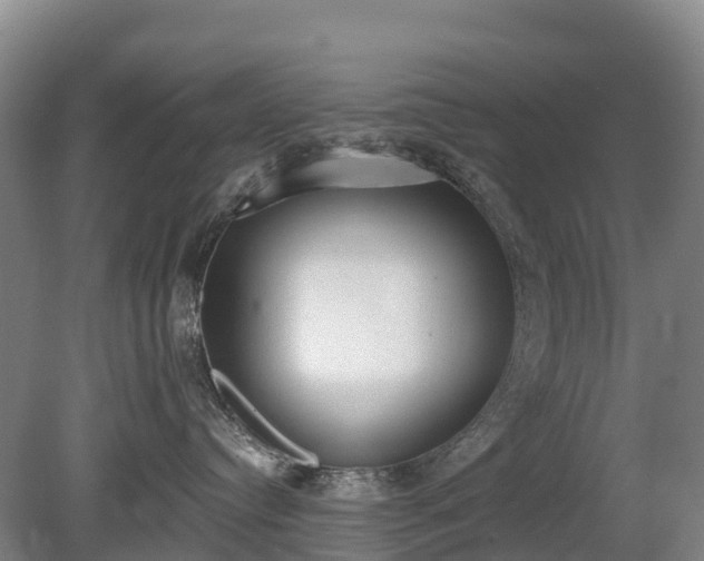 X0000080670384200612221123