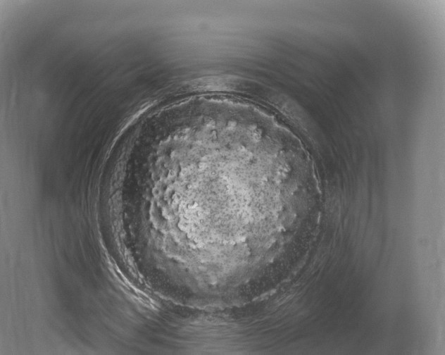 X0000080670386200612221122