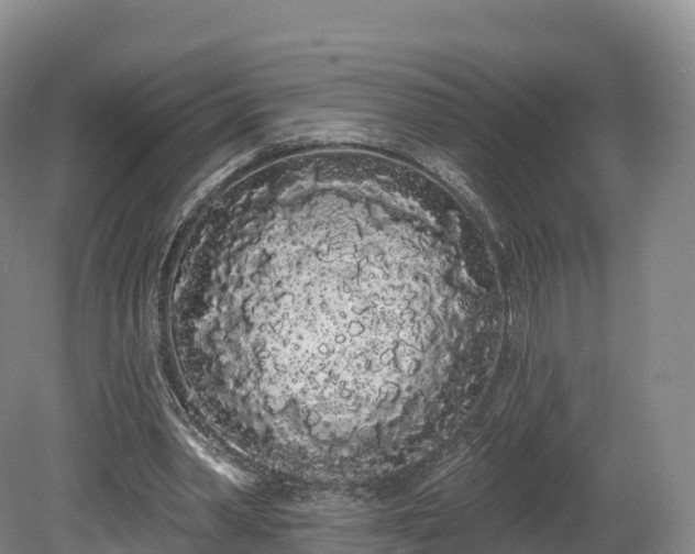 X0000080670390200612221122