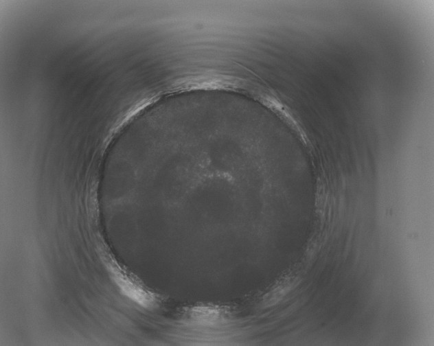 X0000080670394200612221122