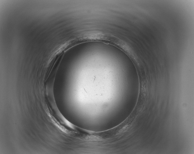 X0000080670397200612221122