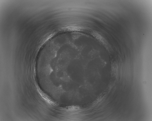 X0000080670398200612221122