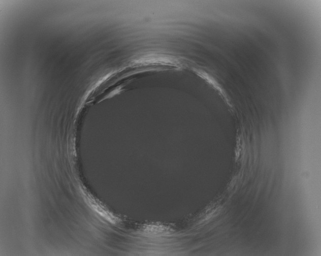 X0000080670399200612221122