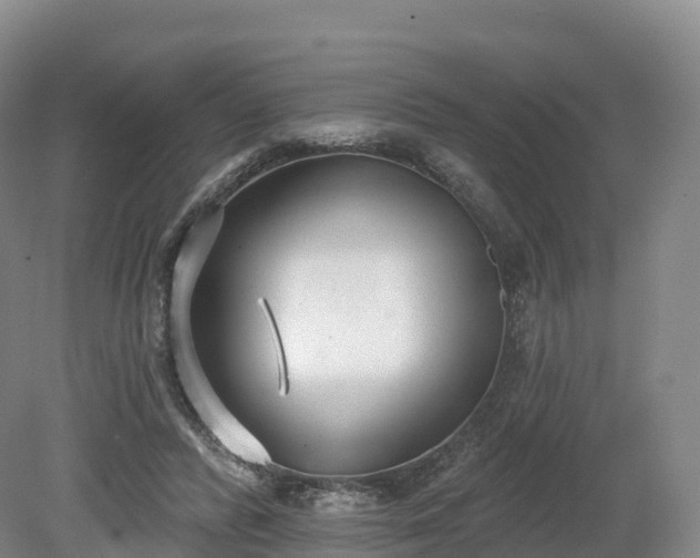 X0000080670400200612221122