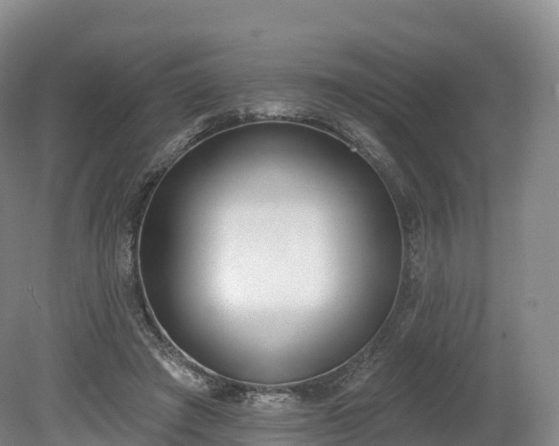 X0000080670401200612221122