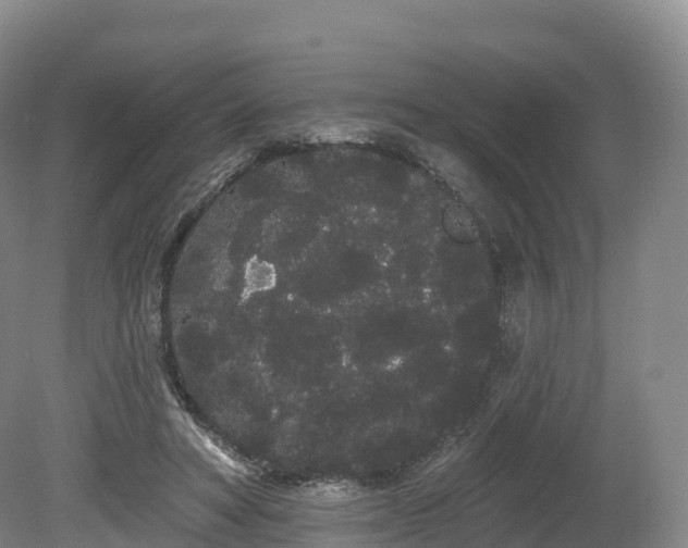 X0000080670402200612221122