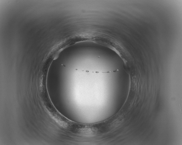 X0000080670404200612221122