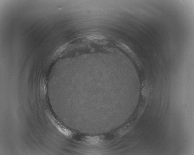 X0000080670405200612221122