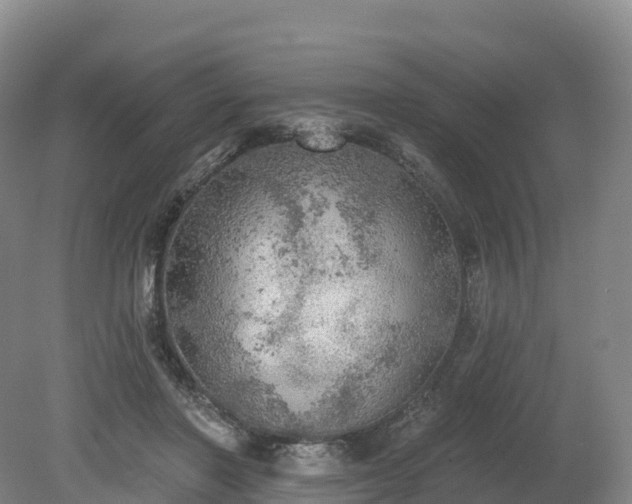 X0000080670406200612221122