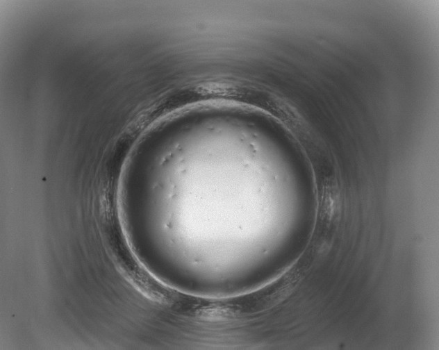 X0000080670408200612221122