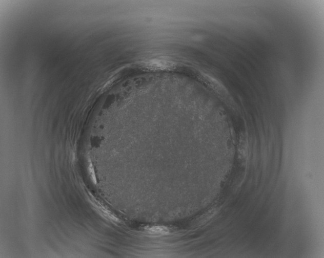 X0000080670409200612221122