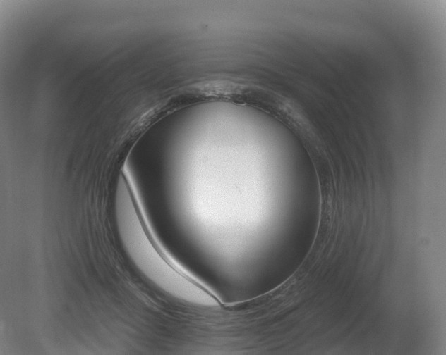 X0000080670411200612221122