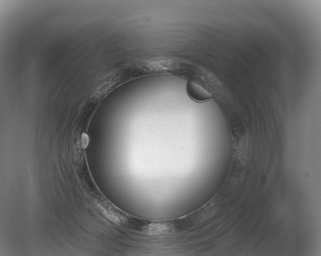 X0000080670418200612221122