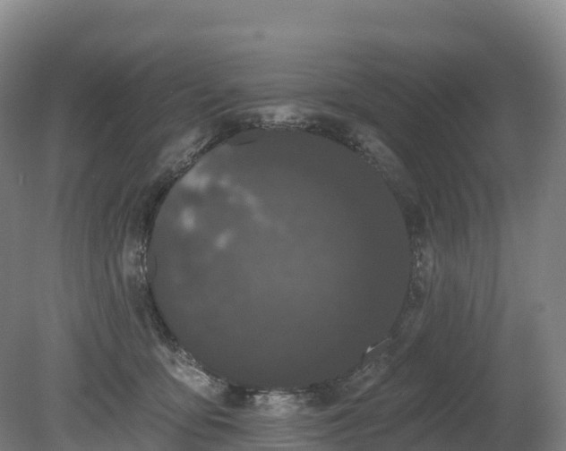 X0000080670419200612221122