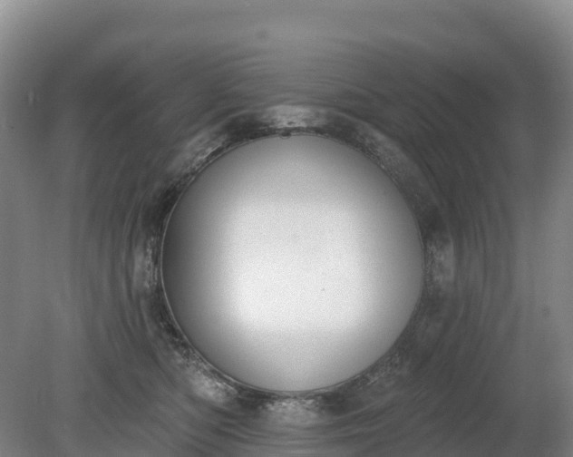 X0000080670422200612221122