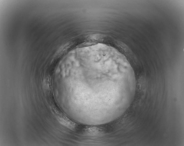 X0000080670423200612221122