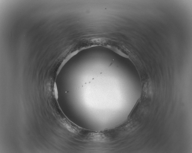 X0000080670424200612221122