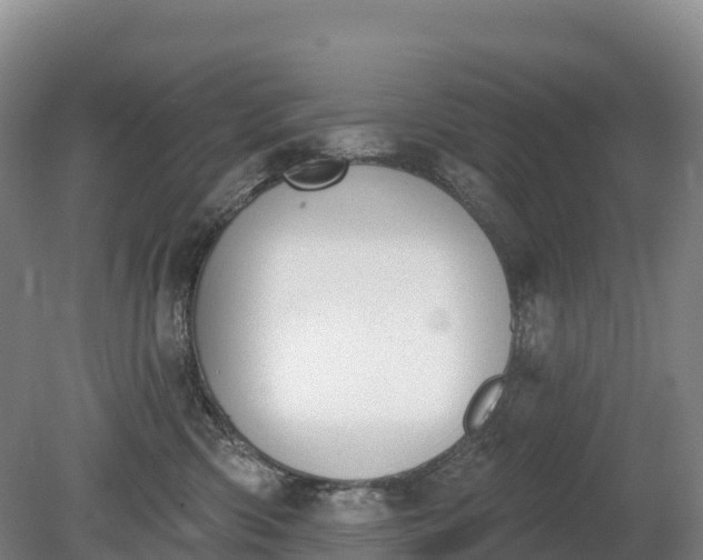 X0000080670426200612221122