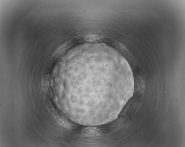 X0000080670427200612221122