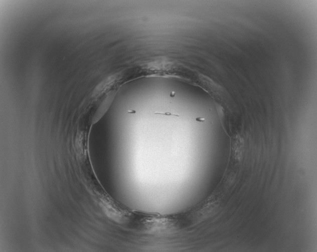 X0000080670428200612221122