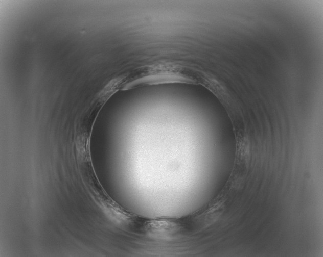 X0000080670429200612221122