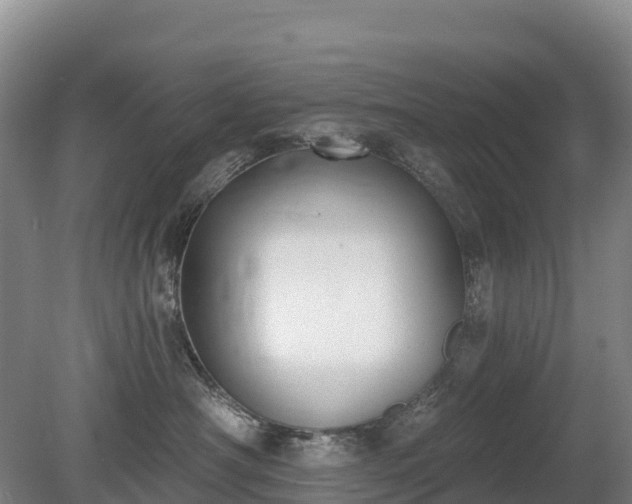 X0000080670430200612221122