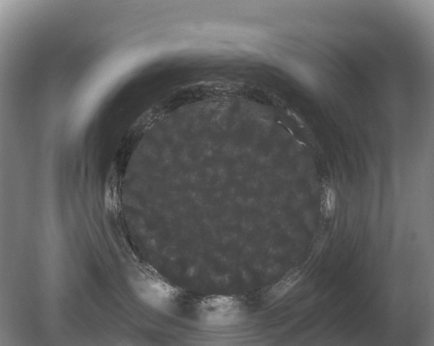 X0000080670431200612221121