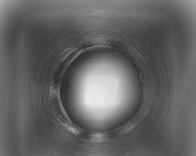 X0000080670432200612221121