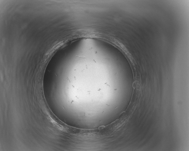 X0000080670433200612221121