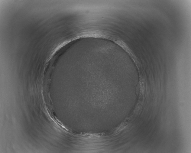 X0000080670434200612221121