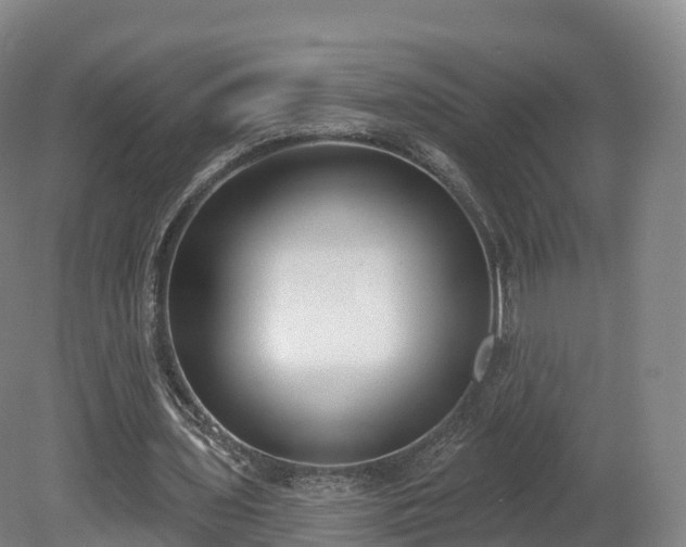 X0000080670435200612221121